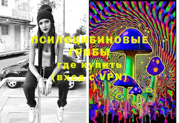 PSILOCYBIN Беломорск