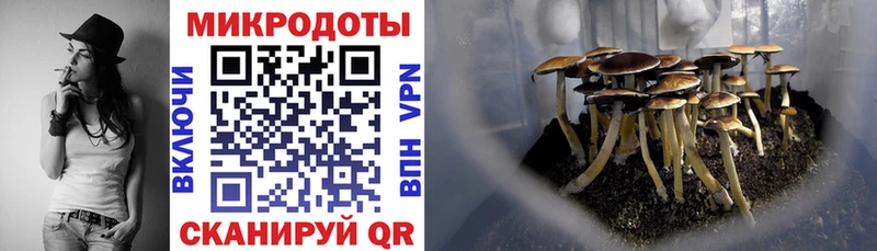 darknet Telegram  Печора  Псилоцибиновые грибы Magic Shrooms 
