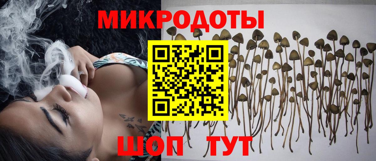 Псилоцибиновые грибы GOLDEN TEACHER Печора